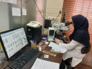 انجام «آزمایش کاریوتایپ»در آزمایشگاه ژنتیک جهاددانشگاهی استان مرکزی