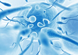 بررسی تاثیر روشی خاص برای آماده‌سازی اسپرم بر کیفیت جنین