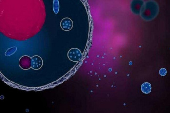 وزیکول‌های خارج سلولی؛ منبعی نامرئی از ظرفیت‌های درمانی