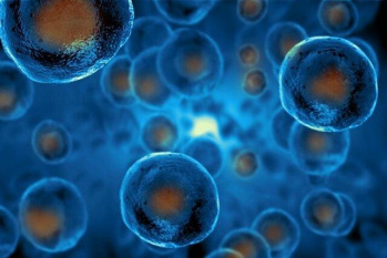تمایز سلول‌های بنیادی مزانشیمی به سلول‌های غضروفی با استفاده از بستر نانو فایبری