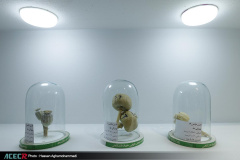 نمایشگاه گزیده‌ای از دستاوردهای شاخص علمی و فناورانه جهاددانشگاهی در سازمان برنامه و بودجه کشور- روز دوم