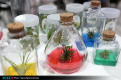 حضور جهاددانشگاهی در بیست‌وششمین نمایشگاه بین‌المللی پژوهش، فناوری و فن‌بازار