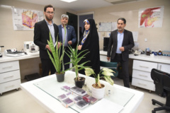 بازدید دکتر زهرا شیخی، معاون پژوهش و فناوری از مجتمع آموزشی، پزشکی و تحقیقاتی نیشابور
