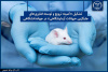 تشکیل «کمیته ترویج و توسعه فناوری‌های جایگزین حیوانات آزمایشگاهی» در جهاددانشگاهی