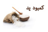 ضرورت کنترل کم‌کاری تیروئید مادر پیش از بارداری