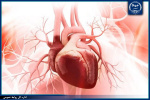 مهندسی بافت قلب به کمک صفحات سلولی؛ گامی جدید در پزشکی بازساختی
