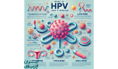 تجهیز مرکز غربالگری HPV جهاددانشگاهی واحد هرمزگان با حمایت اتاق بازرگانی