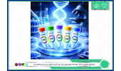 وکتورهای چاپرونی به بانک DNA و داده های ژنومی مرکز ملی ذخایر ژنتیکی و زیستی ایران افزوده شد