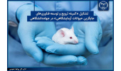 تشکیل «کمیته ترویج و توسعه فناوری‌های جایگزین حیوانات آزمایشگاهی» در جهاددانشگاهی