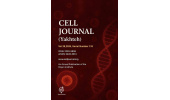 افزایش ضریب تأثیر نشریه بینالمللی Cell Journal (یاخته) وابسته به پژوهشگاه رویان جهاددانشگاهی در سال 2026