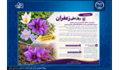 گنجینه زنده زعفران ایران در مرکز ملی ذخایر ژنتیکی و زیستی ایران؛ ۲۲ گونه در یک کلکسیون ملی