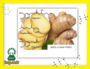 آثار زنجبیل و ترکیبات آن در درمان بیماری التهابی روده