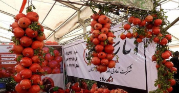 مشارکت جهاددانشگاهی در برگزاری نشست‌های علمی در جشنواره ملی انار ساوه