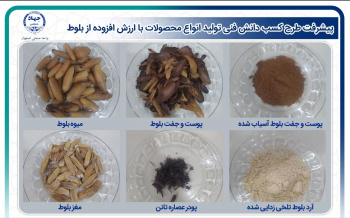 پیشرفت طرح کسب دانش فنی تولید انواع محصولات با ارزش افزوده از بلوط