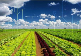 راهکارهای افزایش بهره‌وری آب در کشاورزی چیست؟