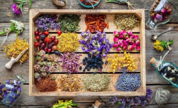 بررسی موانع و راهکارهای توسعه تولید گیاهان دارویی