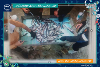 دستیابی به دانش فنی تولید «بچه ماهی مقاوم» با واکسیناسیون و کاهش مصرف آنتی‌بیوتیک دستاورد محققان جهاددانشگاهی تهران