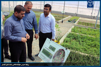 بازدید نماینده مردم گلستان از دهکده گیاهان دارویی جهاددانشگاهی/ ایجاد ۲۲۰۰ فرصت شغلی با توسعه زنجیره ارزش در این حوزه