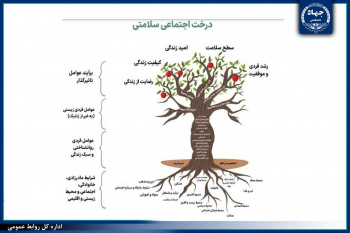 «درخت اجتماعی سلامت»؛ مدلی نوین برای ترسیم ابعاد چندگانه سلامت