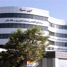 آغاز فصلی نو در درمان ناباروری؛ تمرکز مرکز درمان ناباروری ابن‌سینا بر نوآوری، امید و کیفیت خدمات