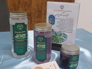 اثربخشی محصول ضدسرمازدگی جهاددانشگاهی استان سمنان تا منفی 10 درجه تأیید شد