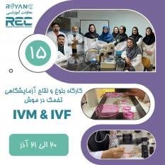 برگزاری کارگاه تخصصی لقاح آزمایشگاهی در موش با استفاده از تخمک نابالغ توسط پژوهشگاه رویان جهاددانشگاهی