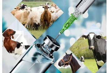 اجرای طرح فناورانه «تولید آفت کش و آنتی بیوتیک دامی» توسط جهاددانشگاهی کهگیلویه و بویراحمد/ جلوگیری از خروج ارز و کاهش وابستگی به واردات